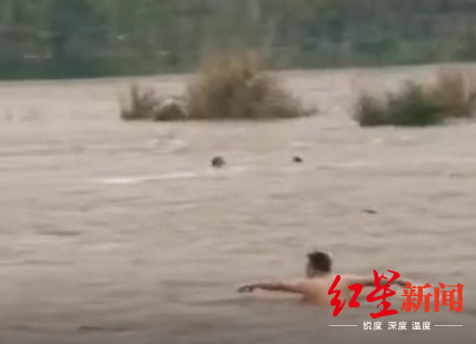 事发时，有见义勇为市民下水营救。现场视频截图