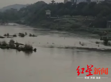  事发现场画面。现场视频截图